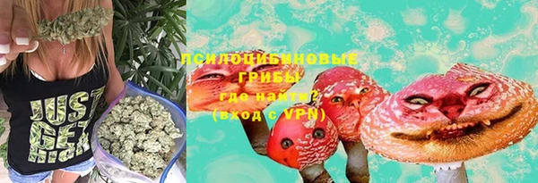 твердый Липки