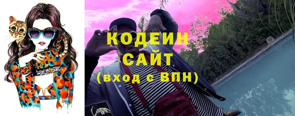 гашик Алапаевск