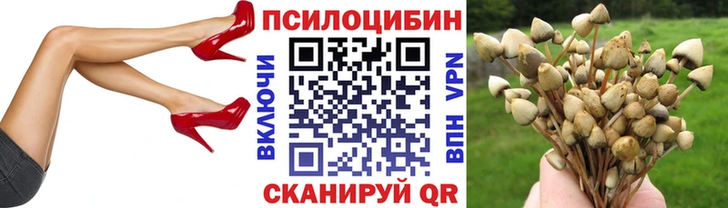 ОМГ ОМГ ССЫЛКА  Нижний Новгород  Галлюциногенные грибы Psilocybe  даркнет сайт 