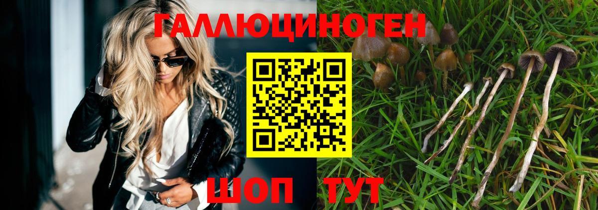 Нижний Новгород  Мефедрон кристаллы  ГЕРОИН  Мефедрон   ГАШИШ  COCAIN  Марихуана  Альфа ПВП СК  