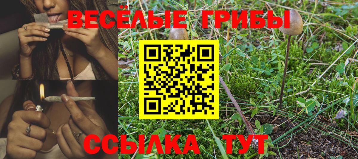 Галлюциногенные грибы GOLDEN TEACHER Нижний Новгород