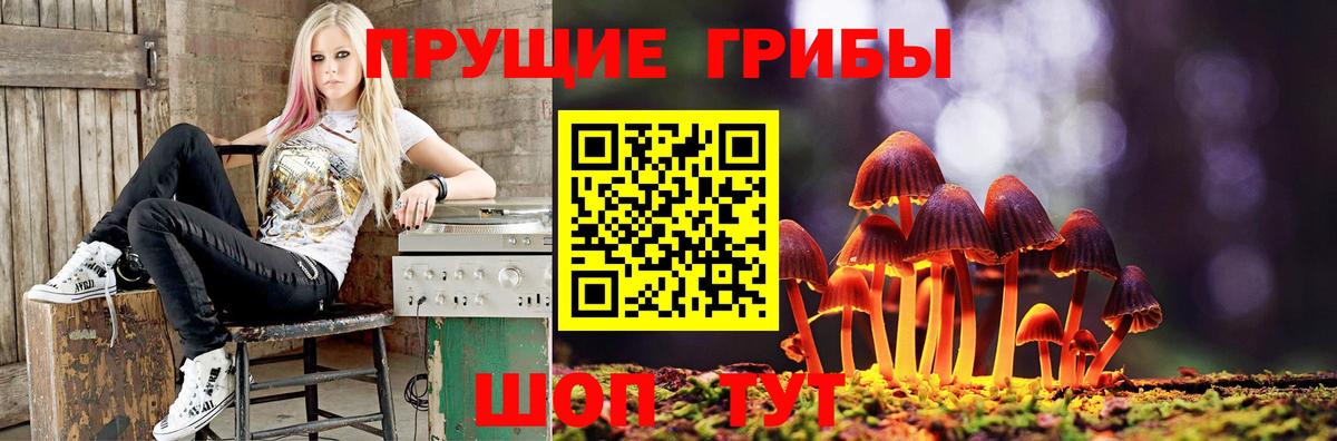 Галлюциногенные грибы Magic Shrooms Нижний Новгород
